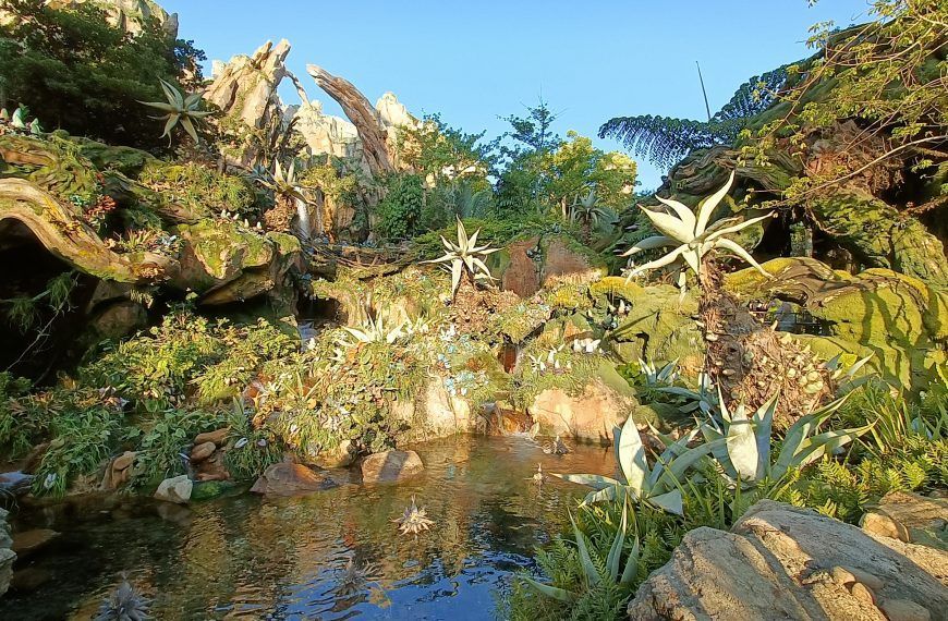 Tusker House Restaurant, comida africana en Animal Kingdom 6 Satu’li Canteen de Animal Kingdom
