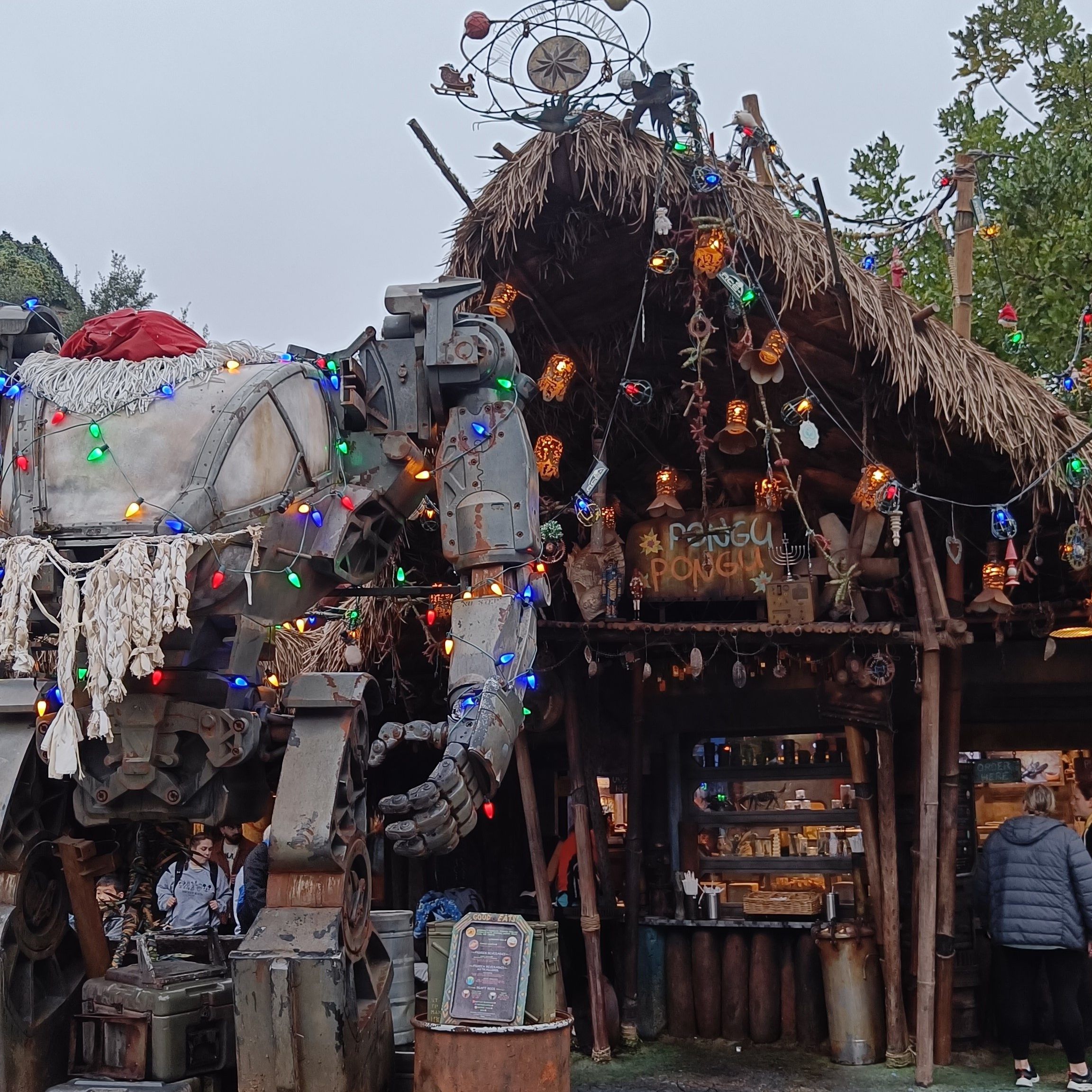 La Guía Completa de Disney's Animal Kingdom en Disney World 15 Pongu Pongu en Animal Kingdom