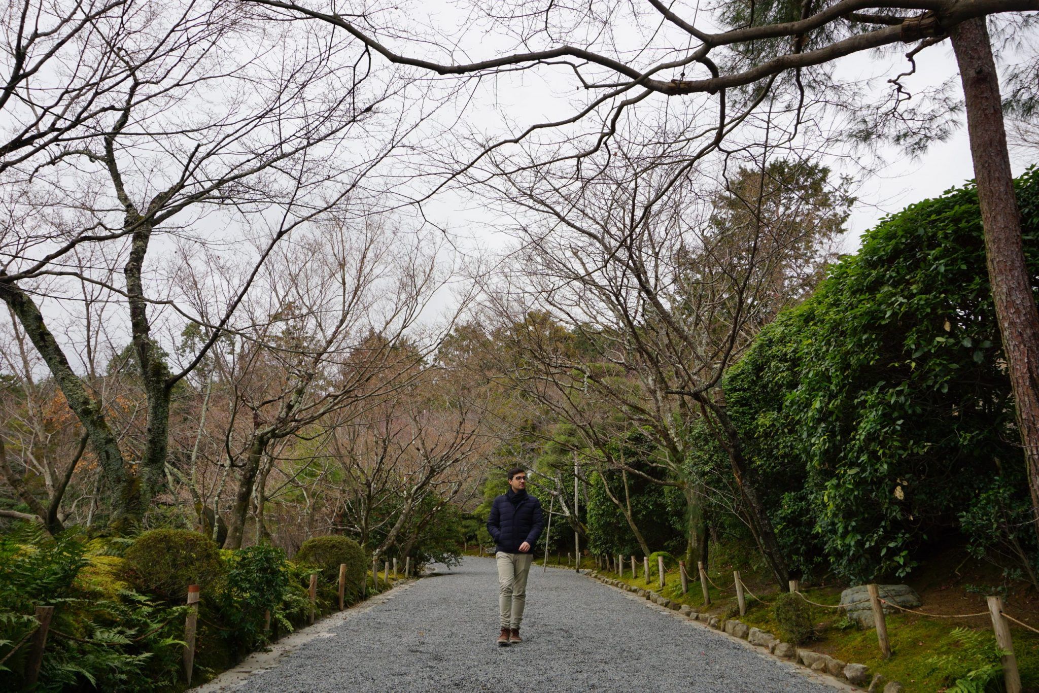 Itinerario Japón 14 días: Osaka, Kioto y Tokio con niños 6 Entrada del templo Ryoan-ji en Kioto con bosque de bambú