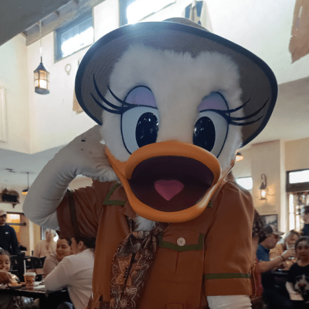 11 Walt Disney World