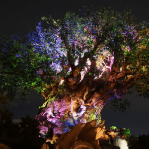 Arbol de la vida noche Walt Disney World