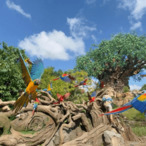 Personajes WDW Walt Disney World