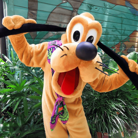 Pluto Walt Disney World