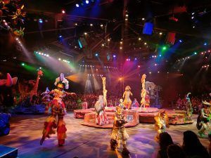 festival-of-the-lion-king-animal-kingdom festival of the lion king atracciones animal kingdom
