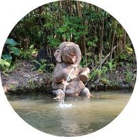 jungle_cruise Walt Disney World