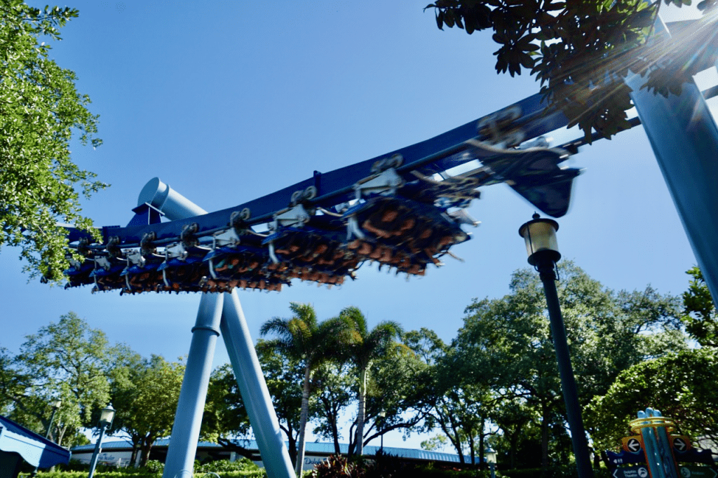 Todo sobre SeaWorld Orlando 6 SeaWorld Orlando manta